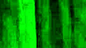 Intense Sadomasochism Videos With Blowjobs And Femdom