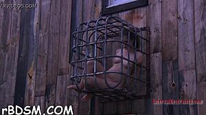 Intense Sadomasochism Videos With Blowjobs And Femdom