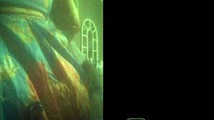 riding that big juicy ass with a monster cock