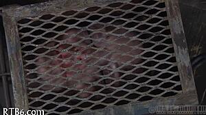 Naughty Angel Receives Lusty Facial Castigation