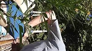 Hot Suck And Fuck In 420 Patch With Intense Action