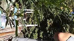 Hot Suck And Fuck In 420 Patch With Intense Action