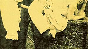 Pornostalgia vintage film collection