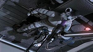 H0rs3 Compilation Of Fucking Machine Scenes