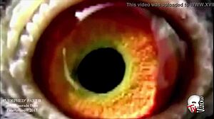 Best big booty twerk for big booty lovers, thick and juicy ass shaking in mu-1080p. Lovers enjoy the hardcore display.