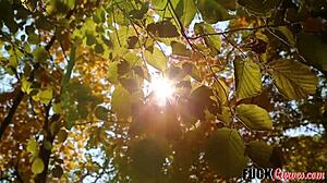 Dialogic-Provocative 