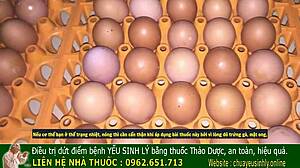 Ancient King’s Secret For Male Vitality!