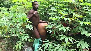 Softkind Pounds Stepmom from Behind with Big Cock in Wild Bush