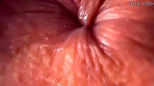 see this doggy style pounding up close with macro lens detail