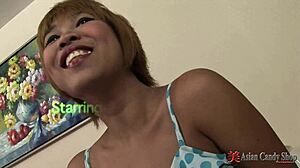 compilation showcasing thai girls sucking cocks in amateur and hentai styles