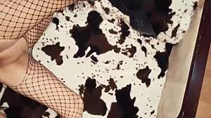 Exciting Milf Couple In Fishnet Lingerie For Homemade Anal Assfucking Close Up Pov!