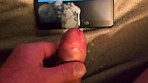 Mark Bored - Tribute To Pasticcioni