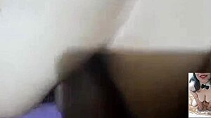 Aurora Estelar's Anal Penetration in Exhibitionist Flash