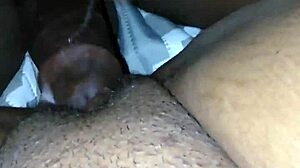 This is a verification video for ebony and black categories