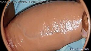 huge dick fucks giant pussy from spy view