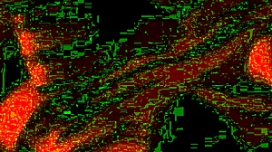 real homemade wedding bride fucking married