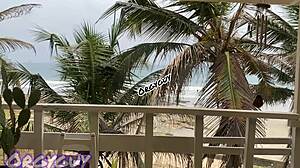 hey, why does my ebony wife flash her pussy at the beach house?