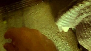 Stuffguy Update 3: Longer Jerk Off Session with Catheter on May 20, 2025