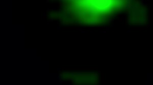 Germayne Flores De Roman In Puebla Las Animas