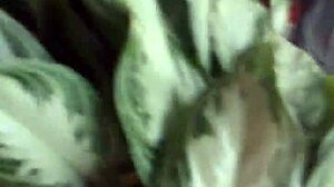 Ebony Ass Folding Candidly