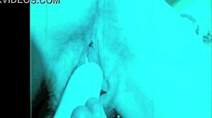 dark lantern presents the dragonfly freddie, a retro fuck with hairy pussy and blowjob.