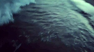 Blonde Exhibitionist Flashes Tits And Sucks Cock Intensely On Public Beach