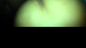 Dominated In Amateur Scene