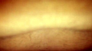 Married Women Suck DICK Best and SWALLOW All - Karina and Lucas