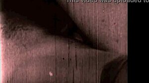 Vintage erotic art showcases timeless sensual beauty