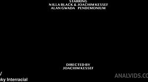 nilla black takes anal from three big black cocks