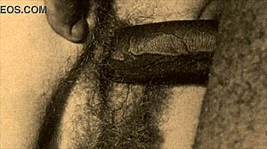 विंटेज पॉर्नोग्राफी का अद्भुत दुनिया इंटररेसियल फकिंग हेयर बीवर थ्रीसम में फीचर करती है?