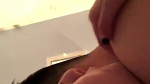 Viet nam exploration insights.