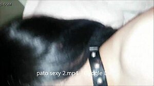 pato22cd bondage what do you think?