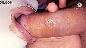 arab girl gives good blowjob and anal 😍