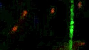 Massive Cum Load At Swingers Club!