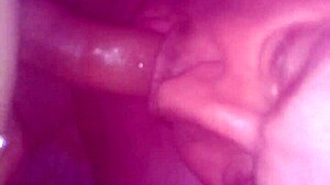 Deepthroating a shemale's monster cock with intense sucking action