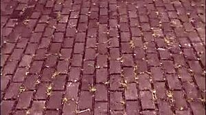 i got lost in the usa and stumbled upon a pretty young amateur girl