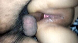 Latina piercing fat amateurs tattoo curvy