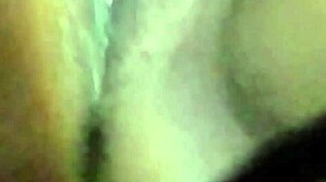 Pretty pussy compilation! Watch fat BBW pussies to New Orleans music!