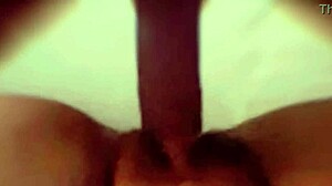 Esposa de um corno chifrudo