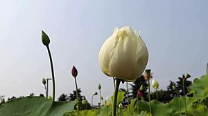 rekonfiguration capitulo 4 pura limpieza with maid colombian blonde music latina pussy masturbation 😊🧹