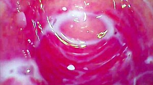 sexy playboy bunny enjoys her big thick dildo in assfucking action!