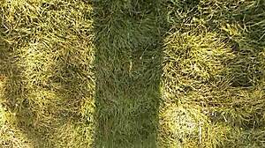 I watch village girl masturbate hairy pussy to orgasm during lunch break on ranch