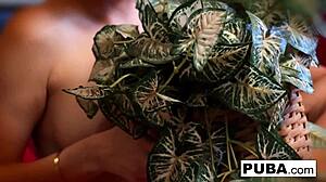 Blonde pornstars engage in sexy lesbian sex with big tits and ass