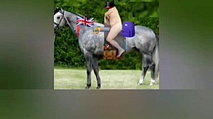 Zea812 Update 17 From April 13 2025