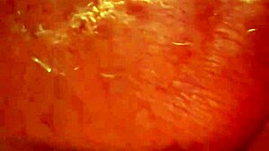 Intense Doggy Fucking In Swing