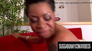 premium ebony booty bounces with regina spice in doggystyle cumshot