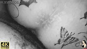 Ex Girlfriend Visits for Blowjob and Cum.