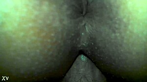 Sexy Close-Up Pussy And Ass Action