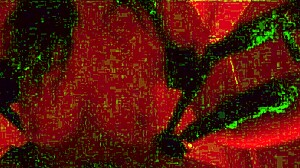 Fucking Kali Ryder Dungeon